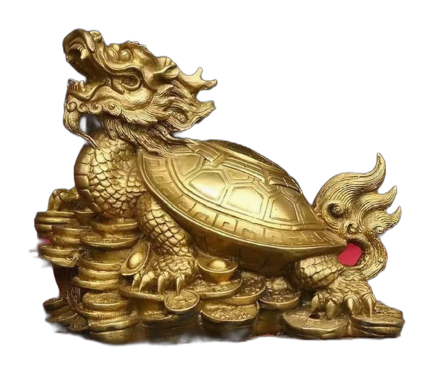 龙龟